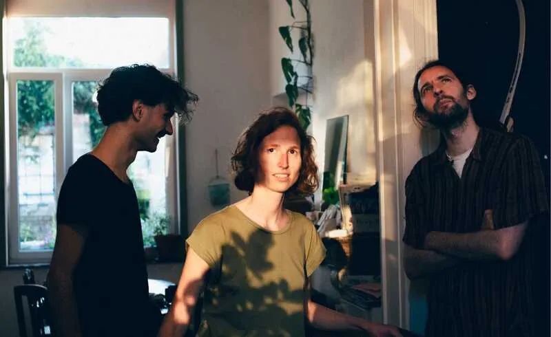 Foyer Matinee: volpe