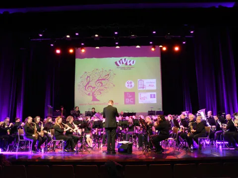 De Verenigde Vrienden - Concert Kon. Fanfare Wolfsdonk