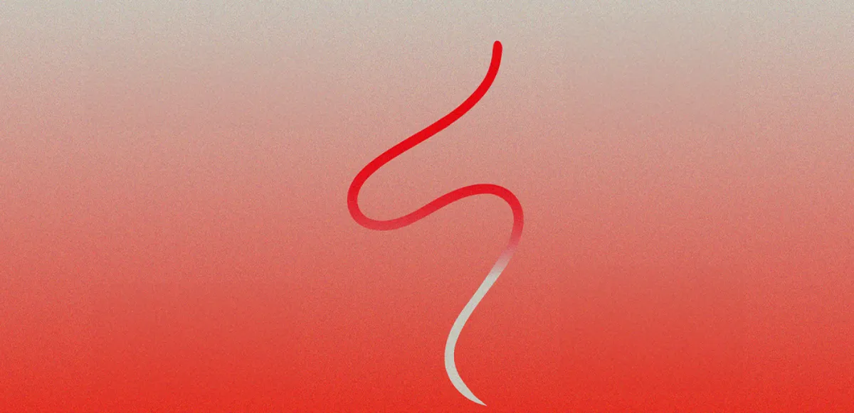 Sound Track: de finale! Antwerpen

                                                                     / Aghogho
                                                                     / Amaea Rae
                                                                     / C I M E
                                                                     / Hannah Nollet
                                                                     / Jengman
                                                                     / Kwaku Benson x W9nted
                                                                     / Mixed Waste
                                                                     / OLGA